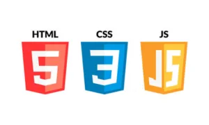 HTML CSS and JavaScript